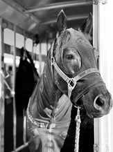 Load image into Gallery viewer, MagnaCu Onesies - Custom Order Here!