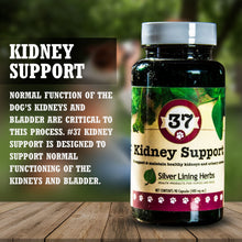 Load image into Gallery viewer, Kidney Support for Canines