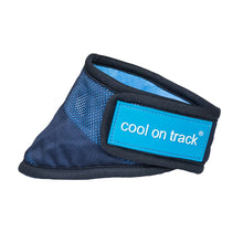 Load image into Gallery viewer, Cool on Track® Cooling Bandana