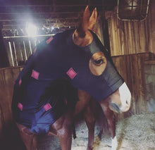 Load image into Gallery viewer, PHT In Stock Now