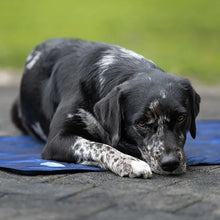 Load image into Gallery viewer, Cool on Track® Cooling Towel