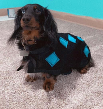 Load image into Gallery viewer, MagnaCu Dog Blanket - in stock!