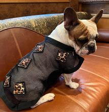 Load image into Gallery viewer, MagnaCu Dog Blanket - in stock!