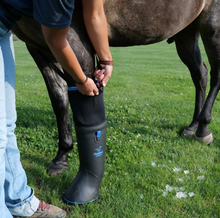 Load image into Gallery viewer, Easyboot Ultimate Remedy - NEW