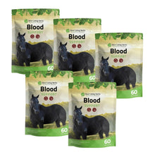 Load image into Gallery viewer, Blood Support for Horses