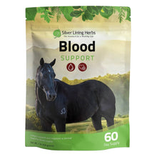 Load image into Gallery viewer, Blood Support for Horses
