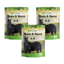 Load image into Gallery viewer, Brain & Nerve Support for Horses