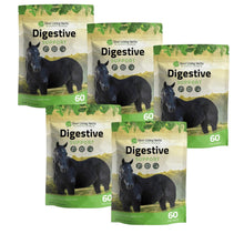 Load image into Gallery viewer, Digestive Support for Horses
