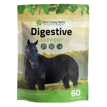 Load image into Gallery viewer, Digestive Support for Horses