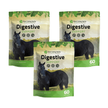 Load image into Gallery viewer, Digestive Support for Horses