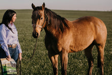 Load image into Gallery viewer, EP Minus For Horses