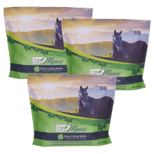 Load image into Gallery viewer, EP Minus For Horses