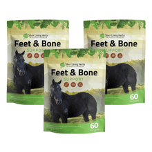 Load image into Gallery viewer, Feet & Bone Support for Horses