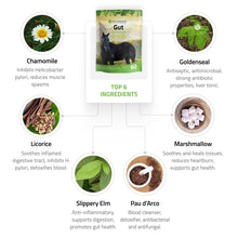 Load image into Gallery viewer, Gut Support for Horses
