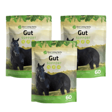 Load image into Gallery viewer, Gut Support for Horses