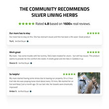 Load image into Gallery viewer, Gut Support for Horses
