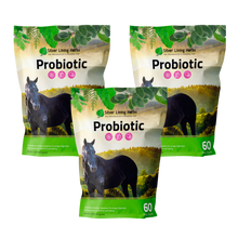 Load image into Gallery viewer, Horse Probiotics