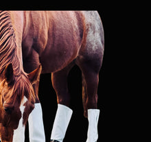 Load image into Gallery viewer, Fly Free Boots