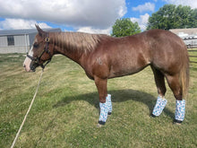 Load image into Gallery viewer, Fly Free Boots