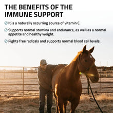 Load image into Gallery viewer, Immune Support for Horses