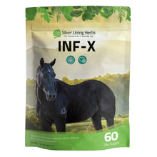 Load image into Gallery viewer, INF-X for Horses