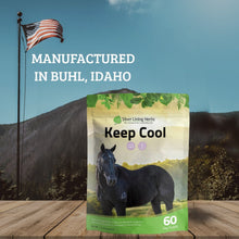 Load image into Gallery viewer, Keep Cool for Horses