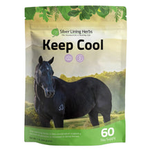 Load image into Gallery viewer, Keep Cool for Horses