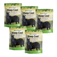 Load image into Gallery viewer, Keep Cool for Horses