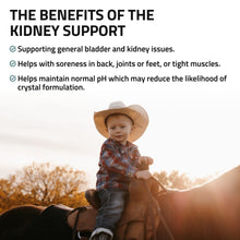 Load image into Gallery viewer, Kidney Support for Horses