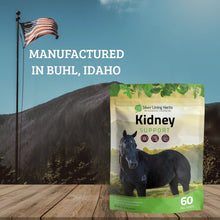 Load image into Gallery viewer, Kidney Support for Horses