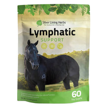 Load image into Gallery viewer, Lymphatic Support for Horses