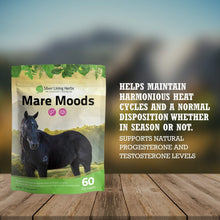 Load image into Gallery viewer, Mare Moods For Horses