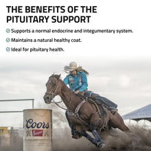 Load image into Gallery viewer, Pituitary Support for Horses