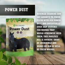 Load image into Gallery viewer, Power Dust for Horses