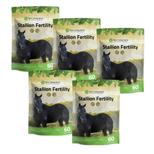 Load image into Gallery viewer, Stallion Fertility For Horses
