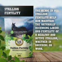 Load image into Gallery viewer, Stallion Fertility For Horses