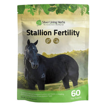 Load image into Gallery viewer, Stallion Fertility For Horses