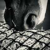 Load image into Gallery viewer, Hangover Haynet