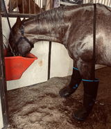 Load image into Gallery viewer, Easyboot Ultimate Remedy - New