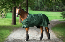 Load image into Gallery viewer, Back On Track Mesh Sheet - Clearance! Now $199