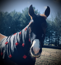 Load image into Gallery viewer, MagnaCu Hood- Custom Order Here!