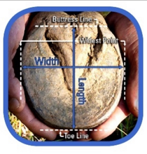 Load image into Gallery viewer, Easyboot Cloud - Sold in pairs
