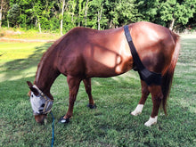 Load image into Gallery viewer, MagnaCu Stifle Wraps - Made to Order