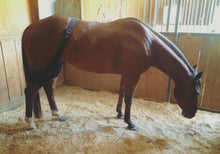 Load image into Gallery viewer, MagnaCu Stifle Wraps - Made to Order