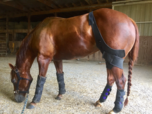 Load image into Gallery viewer, MagnaCu Stifle Wraps - Made to Order