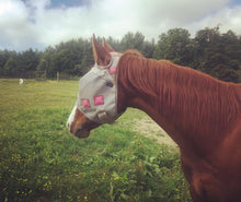 Load image into Gallery viewer, MagnaCu Fly Masks - Custom Order Here!