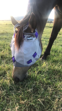 Load image into Gallery viewer, MagnaCu Fly Masks - Custom Order Here!