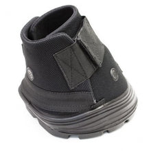 Load image into Gallery viewer, EasyBoot RX