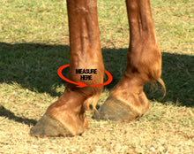 Load image into Gallery viewer, Iconoclast Support Boot