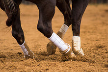 Load image into Gallery viewer, Iconoclast Support Boots - Hind - TALL